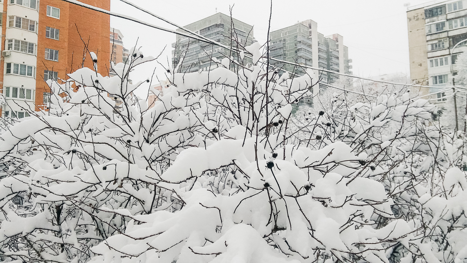 Снегопад в Москве — 31 января 2018 года
