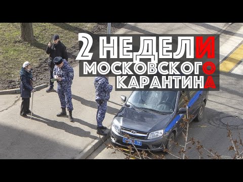Московский карантин. 2 недели в самоизоляции