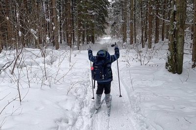 Лыжи в лесу — заблокировали все карты Тройка